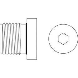 Metric Hollow Hex Plug 8555-H-O Series