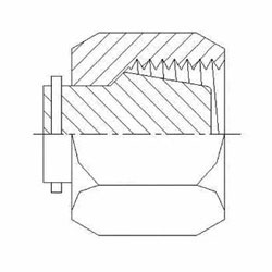 Cap Nut C0304-C Series