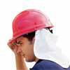 Hard Hat Shields